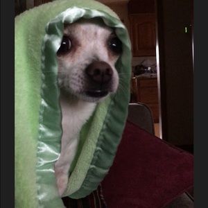 Meet your Posher, Leah