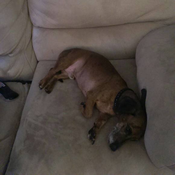 Meet your Posher, Sarah - Picture 1 of 1