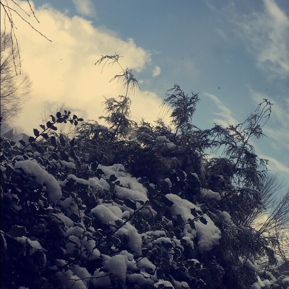 Meet your Posher, Cassie