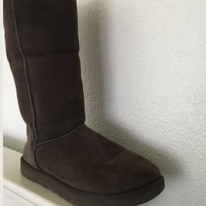 Authentic tall chocolate brown UGGs