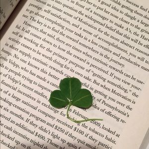 Meet your Posher, Lizz