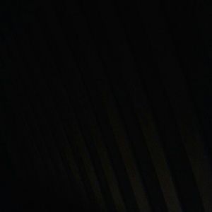 Meet your Posher, Izzy