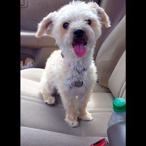 Meet your Posher, Melissa