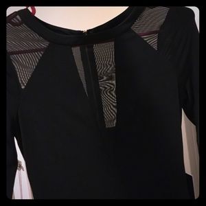 Deep v mesh black long sleeve dress