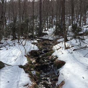 Meet your Posher, Tim