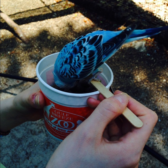 Meet your Posher, Tehilah