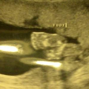 Meet your Posher, Suzanne