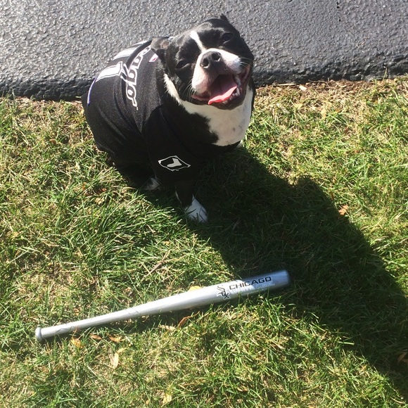 Meet your Posher, Meag - Picture 2 of 2