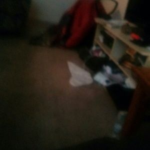 Meet your Posher, Maranda