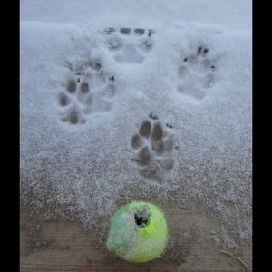 Meet your Posher, Beverly