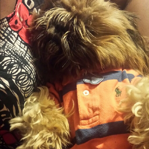 My baby Cesar - Picture 2 of 2