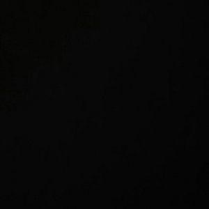 Meet your Posher, Terrence