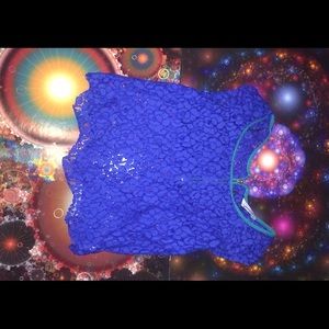 Blue Blouse with Green lining