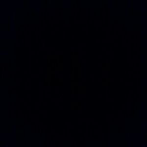 Meet your Posher, Tommie