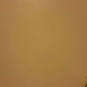 Meet your Posher, Chastity