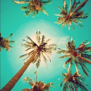 Meet your Posher, Alecia