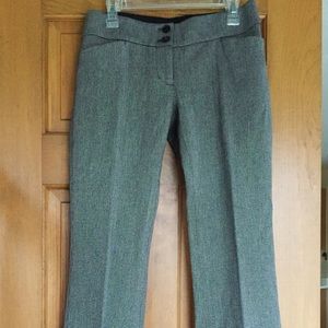NWT Loft dress pants