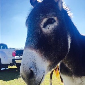 Meet your Posher, Kristin