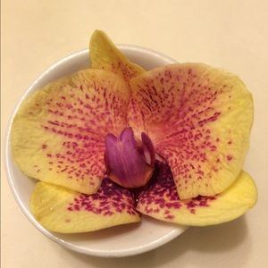 Meet your Posher, Tatiana