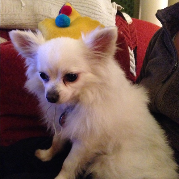 Meet your Posher, Nehal - Picture 3 of 3