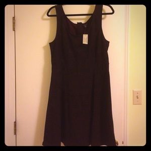 Brand new American Eagle Skater Dress