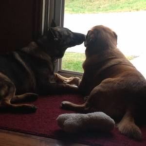 Meet your Posher, Denise