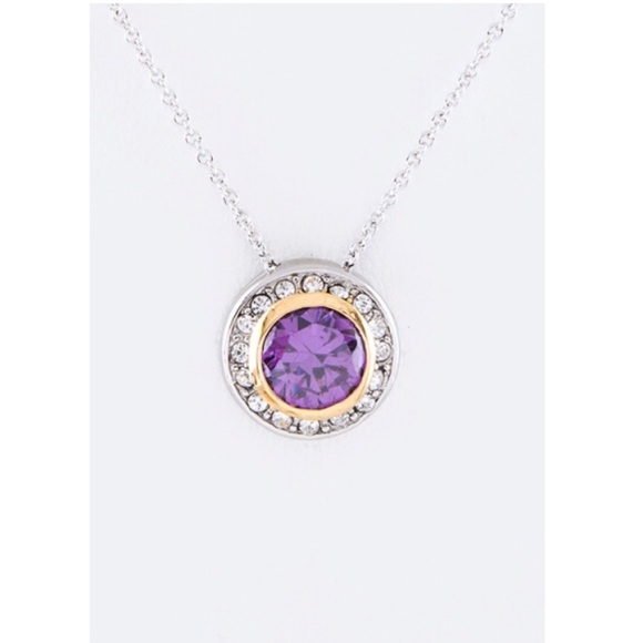 Forever Moon  Jewelry - $10 CLOSET SALE Purple Gem Necklace