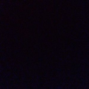 Meet your Posher, Ally