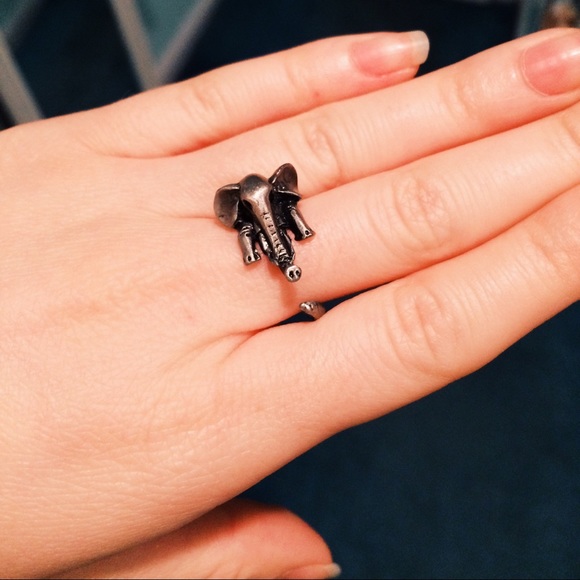 Elephant Ring - Picture 3 of 3