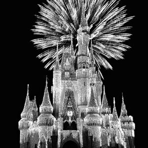 Meet your Posher, Gracie