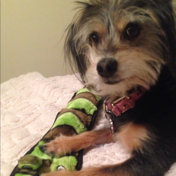 Meet your Posher, Adriana - Picture 4 of 4