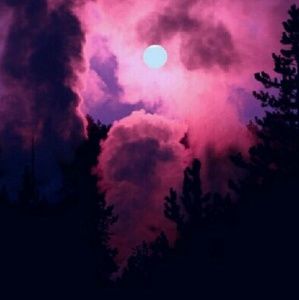 Meet your Posher, Natalee