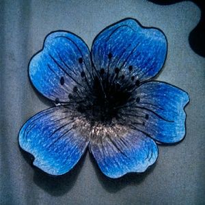 Meet your Posher, Jordan