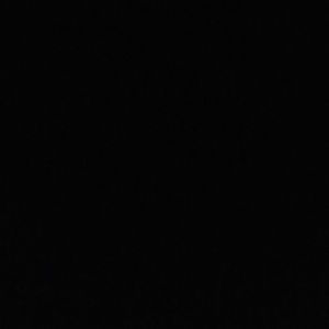 Meet your Posher, Wayne