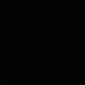 Meet your Posher, Summer