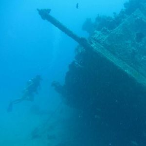 Meet your Posher, Akiko