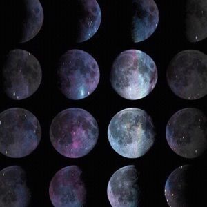 Meet your Posher, Haven