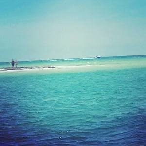 Meet your Posher, Terry