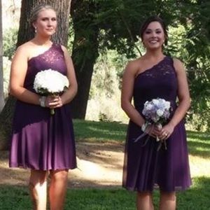 David's Bridal Corded Lace Dress