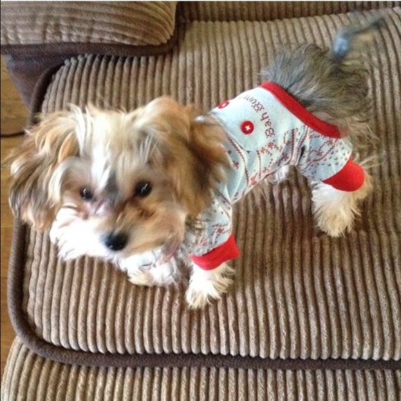 Dog onesie