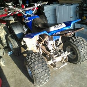 Meet your Posher, Austin