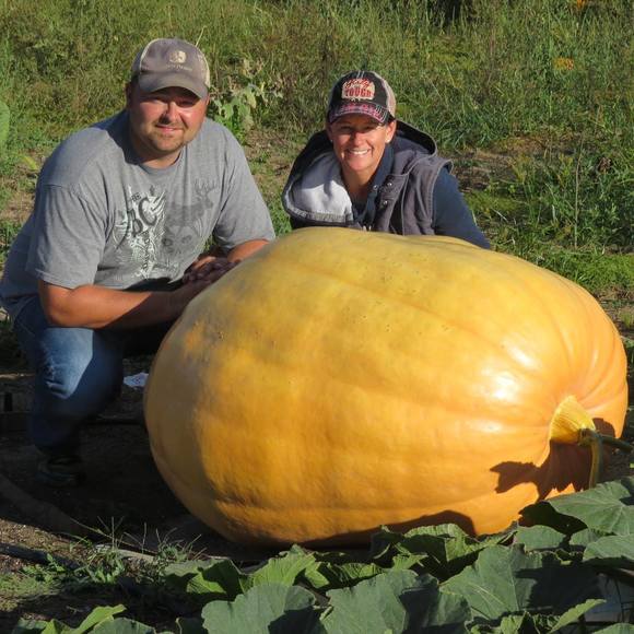 Meet your Posher, Heather - Picture 1 of 1