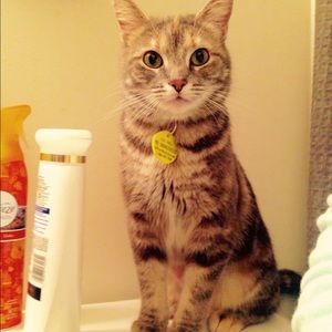 Meet your Posher, Joanna