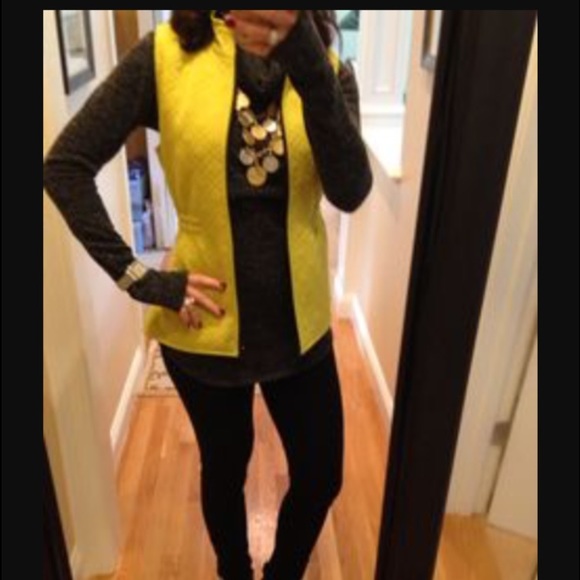 ✨REDUCED NWT CAbi Vest✨