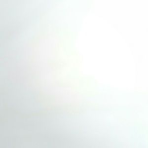 Meet your Posher, Bailey