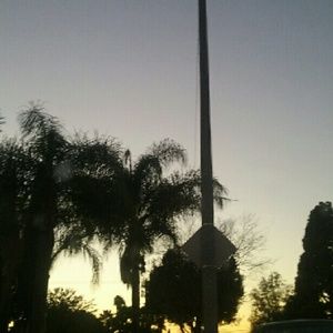 Meet your Posher, Ariana