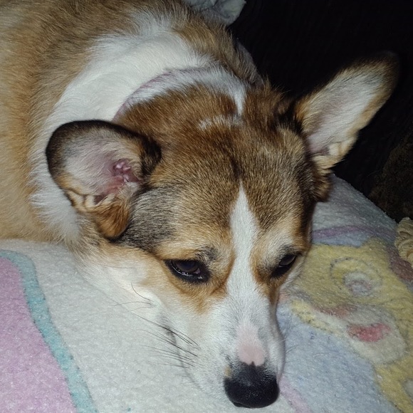 Meet your Posher, Andrea - Picture 1 of 1