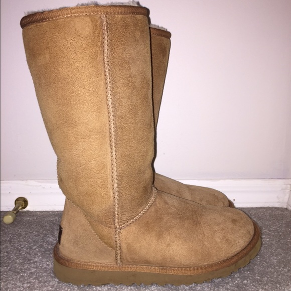 Classic tall chestnut Uggs