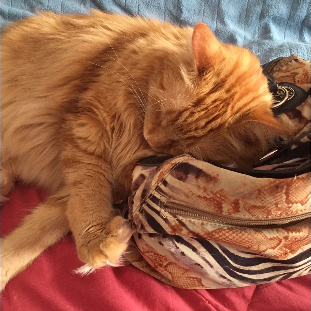 Meet your Posher, Alyssa