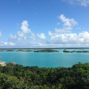 Meet your Posher, Bonnie